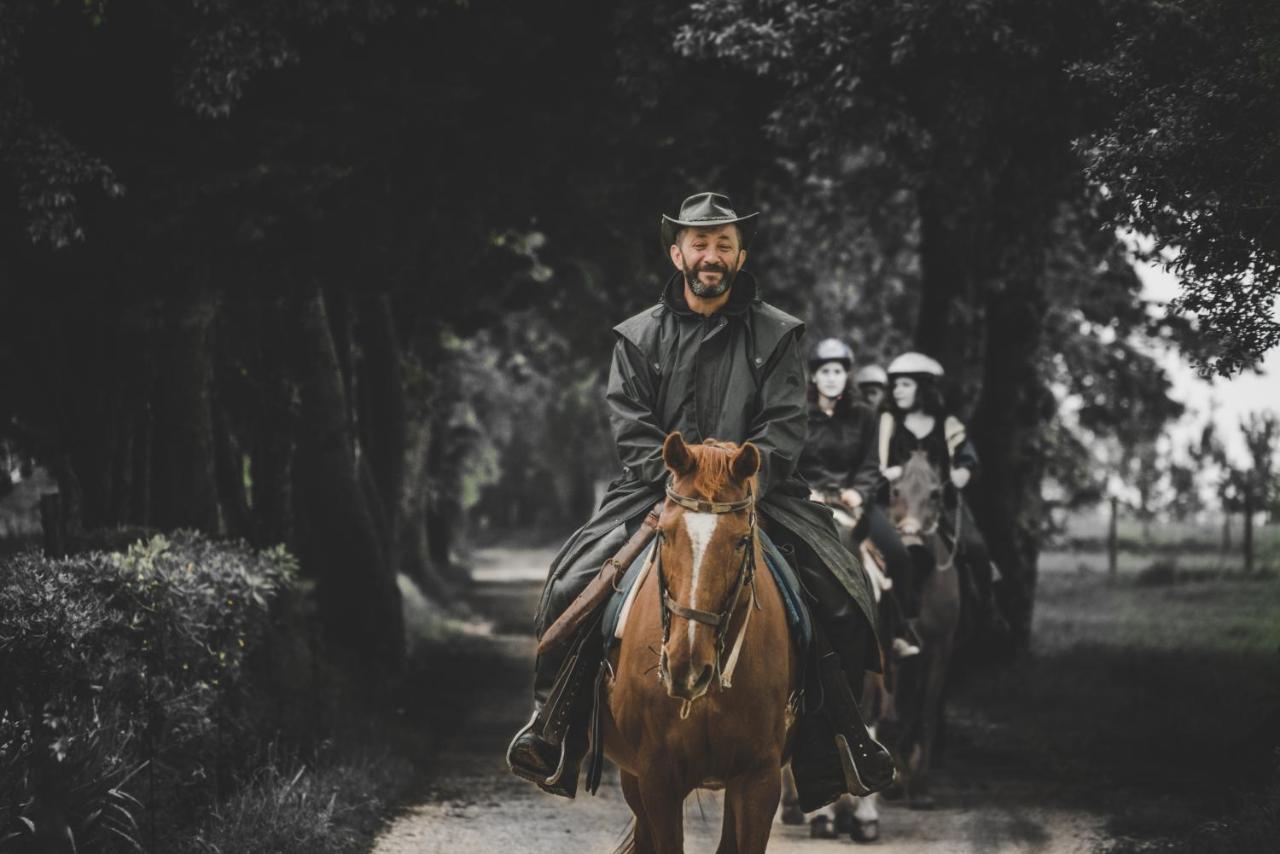 Glamping In Toscana, Luxury Tents In Agriturismo Biologico Sorano  Luaran gambar